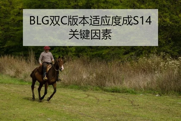BLG双C版本适应度成S14关键因素